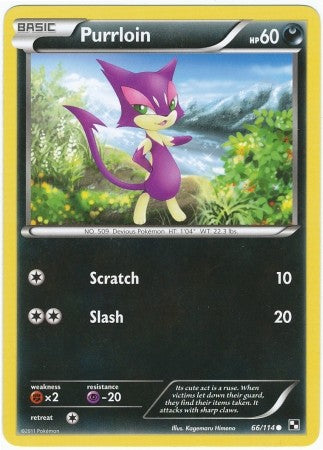 Pokemon Black & White Purrlion 66/114 Common Card –