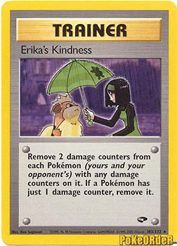 Gym Challenge Trainer - Erika's Kindness
