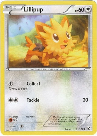 Pokemon Black & White Lillipup 81/114 Common Card