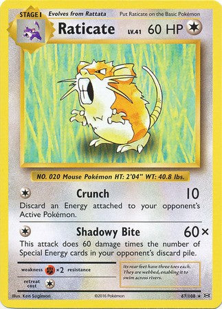 Raticate 67/108 Rare - Pokemon XY Evolutions Single Card