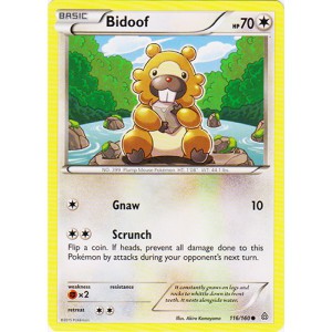 Bidoof 116/160 Common Pokemon XY Primal Clash Card
