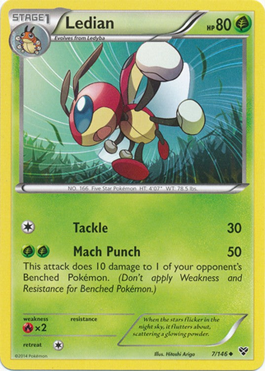 Ledian 7/146 - Pokemon XY Uncommon Card