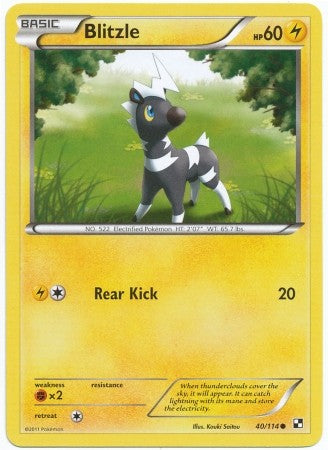 Pokemon Black & White Blitzle 40/114 Common Card