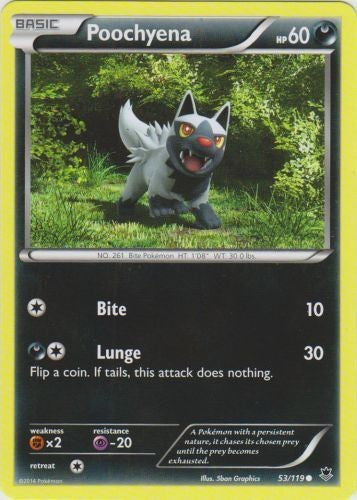 Poochyena 53/119 - Common Pokemon XY Phantom Forces Card