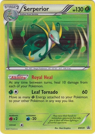 Pokemon Emerging Powers Holo Rare Promo Card - Serperior BW20