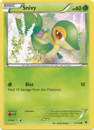 Snivy 5/124 Common - Pokemon XY Fates Collide Card