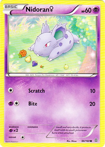 Nidoran 66/160 - Common Pokemon XY Primal Clash Card
