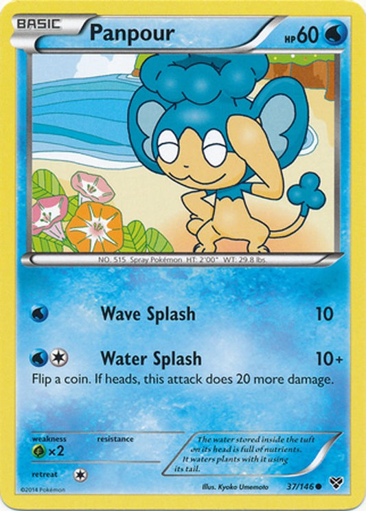 Panpour 37/146 - Pokemon XY Common Card