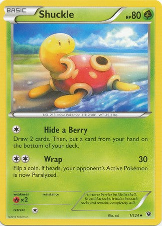 Shuckle 1/124 Uncommon - Pokemon XY Fates Collide Card