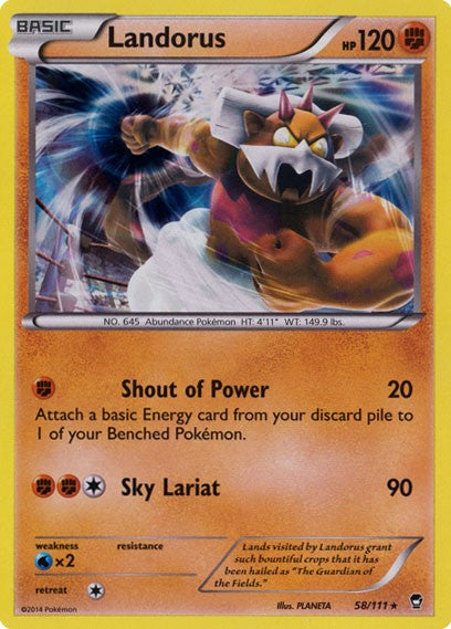 Landorus 58/111 - Pokemon XY Furious Fists Card