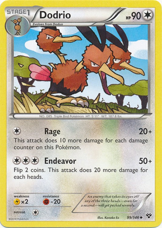 Dodrio 99/146 - Pokemon XY Uncommon Card