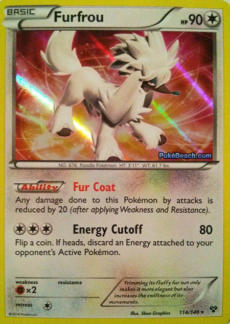 Furfrou 114/146 - Pokemon XY Holo Rare Card